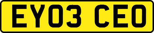 EY03CEO