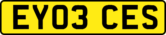 EY03CES