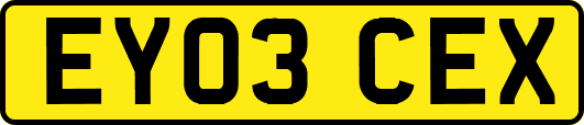 EY03CEX