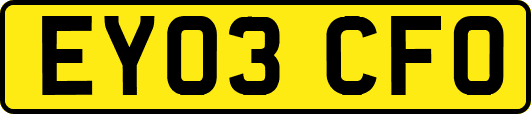 EY03CFO