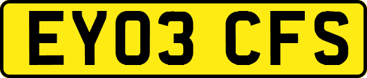 EY03CFS