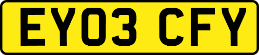 EY03CFY