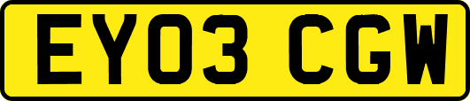 EY03CGW