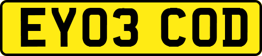 EY03COD