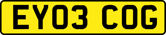 EY03COG