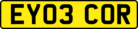 EY03COR