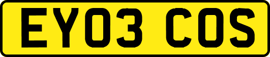 EY03COS