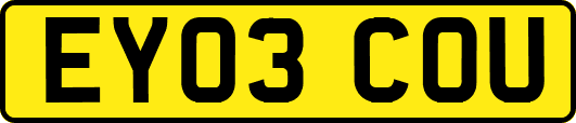 EY03COU