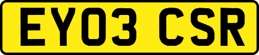 EY03CSR