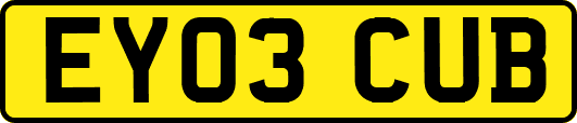 EY03CUB