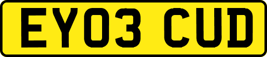 EY03CUD