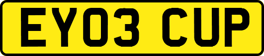 EY03CUP