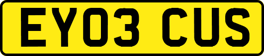 EY03CUS