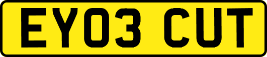 EY03CUT