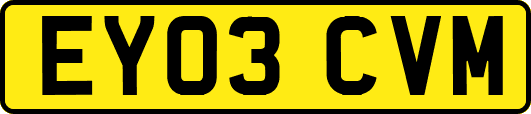 EY03CVM