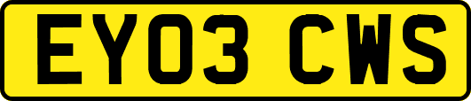 EY03CWS