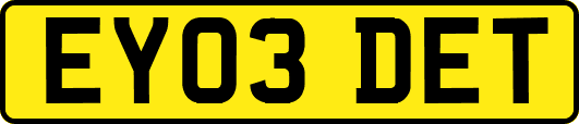 EY03DET