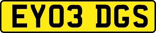 EY03DGS