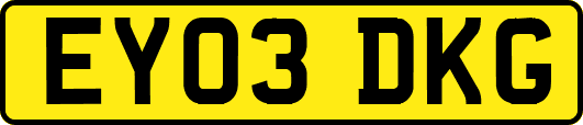 EY03DKG