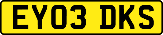 EY03DKS