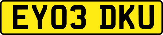 EY03DKU