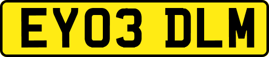 EY03DLM