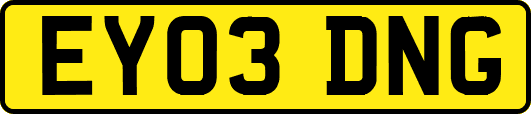 EY03DNG