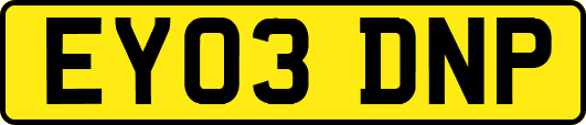 EY03DNP