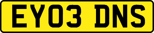 EY03DNS