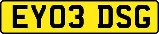 EY03DSG