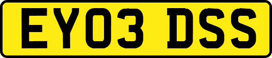 EY03DSS