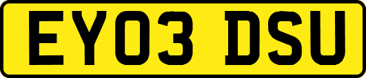 EY03DSU