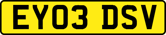 EY03DSV