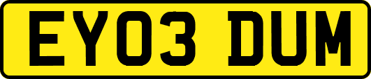 EY03DUM