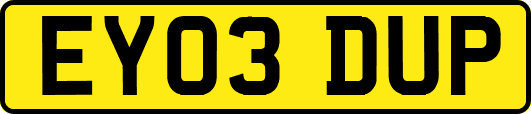 EY03DUP