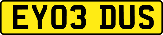 EY03DUS