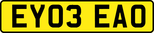 EY03EAO
