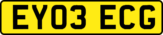 EY03ECG