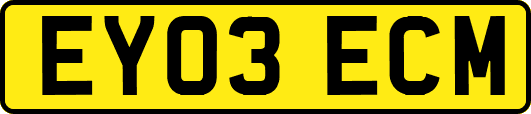 EY03ECM
