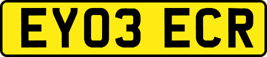 EY03ECR