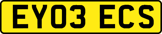 EY03ECS