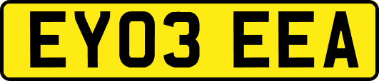 EY03EEA