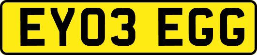 EY03EGG