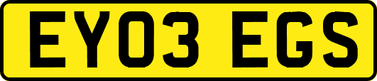 EY03EGS