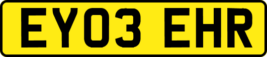 EY03EHR