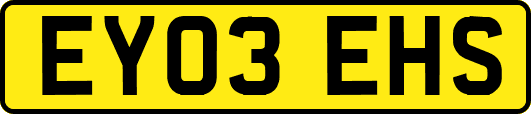 EY03EHS