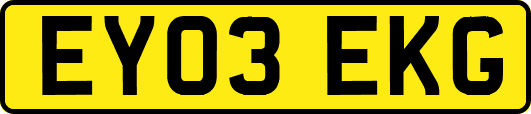 EY03EKG