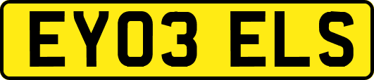 EY03ELS