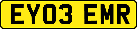 EY03EMR
