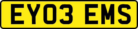 EY03EMS